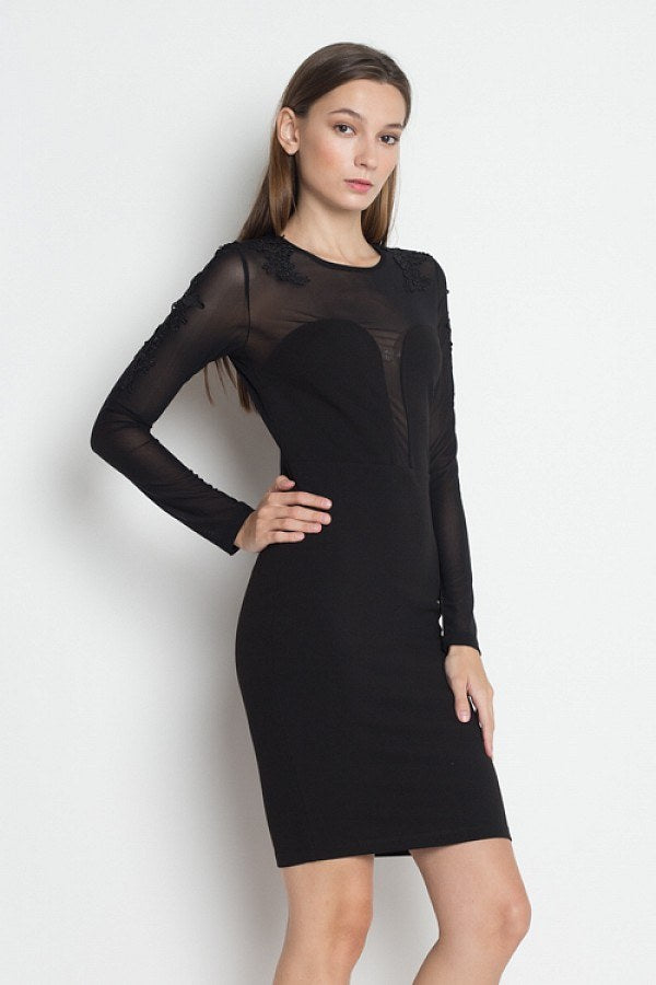 Long Sleeve Floral Mesh Dress