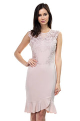 Lace Embroidered Ruffle Dress
