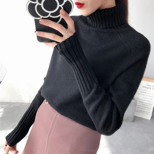 Sweater Female Autumn Winter Cashmere Knitted Warm