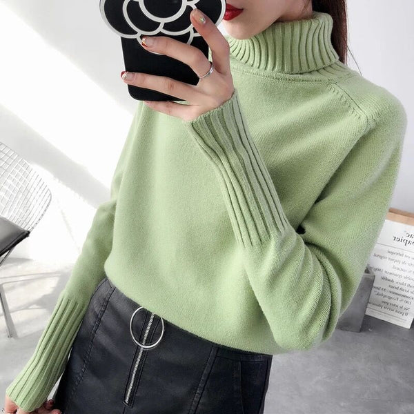 Sweater Female Autumn Winter Cashmere Knitted Warm
