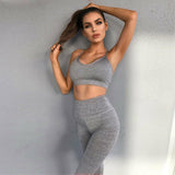 Running Sports Bra Vest Shorts Pant Athletic Set