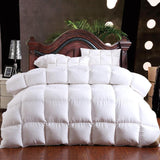 VESCOVO winter warm quilts duvet insert blanket