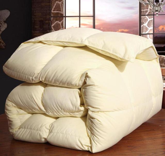 VESCOVO winter warm quilts duvet insert blanket