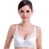 Underwire Gather Adjustment Plunge Lingerie  Bras