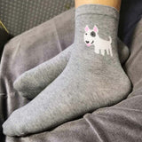 LUXURY bull terrier socks women cotton cute socks kawaii fun crew socks with dog puppy bulterier gift 12pair EU 35-40