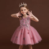 Lace Mesh Patchwork Dress Tutu