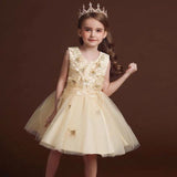 Lace Mesh Patchwork Dress Tutu