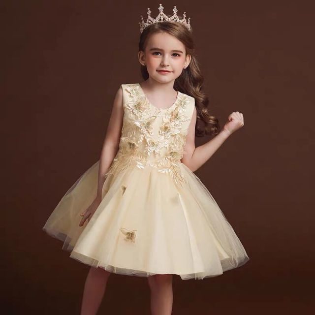 Lace Mesh Patchwork Dress Tutu