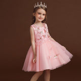 Lace Mesh Patchwork Dress Tutu