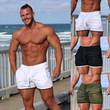 Bodybuilding Sportswear Mesh Quick Dry Workout Pant