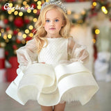 Illusion Sleeves Puffy Layers Dress