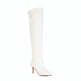 Heels Pointed Toe Knee Boots