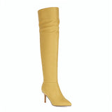 Heels Pointed Toe Knee Boots