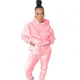 2020 Winter Two Piece Set Women Fleece Long Sleeve Top Hoodie Sweatshirts Sweatpants Pants Jogging Femme Hoodies Tracksuits