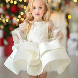 Illusion Sleeves Puffy Layers Dress