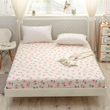 Kuup New 1pc Pure Cotton Soft Fitted Sheet Luxurious Double Queen King Size Bed Sheet