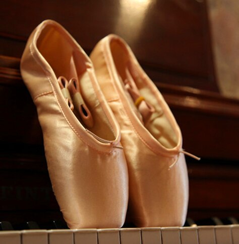 Pointe Shoes Ballet  Professional Dance Shoes
