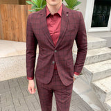 Vest 3 Piece Set / Male Wedding Formal Plaid Suit