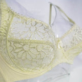 Lager Bosom Lace Perspective Embroidery Floral Wireless Bra